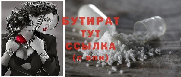 мдпв Бородино