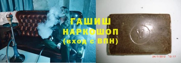 мдпв Бородино
