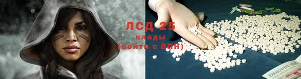ПСИЛОЦИБИНОВЫЕ ГРИБЫ Бугульма