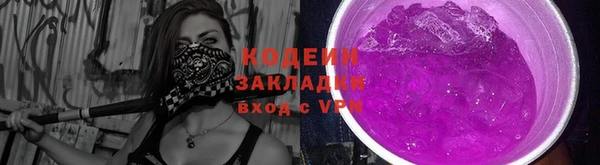 мдпв Бородино