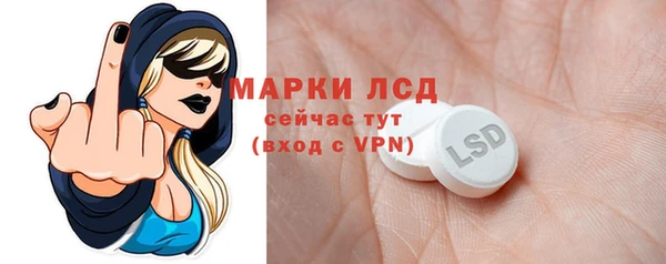 мдпв Бородино