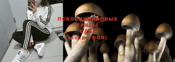 СК Бронницы
