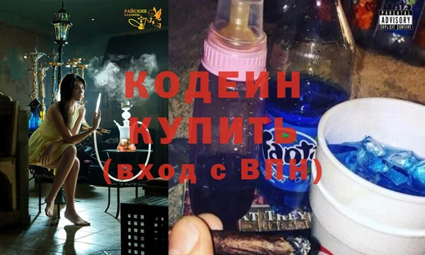 СК Бронницы