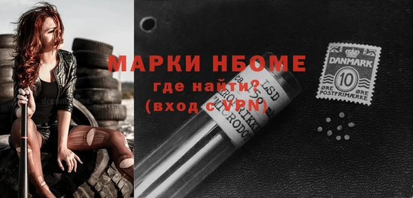 мдпв Бородино
