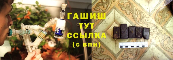мдпв Бородино
