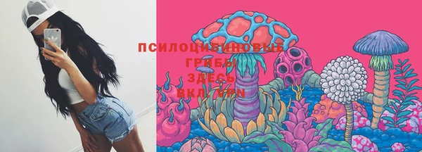 ПСИЛОЦИБИНОВЫЕ ГРИБЫ Бугульма